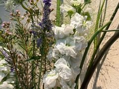 -BOCATA 西班牙餐厅(三里屯店)