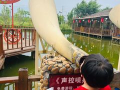 -一煲鸽