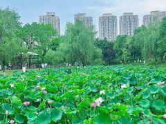 -沐仙湖湿地公园