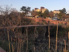 -龙头岩(Dragon Head Rock)