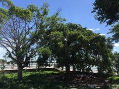 -南沙十九涌渔人码头-南门