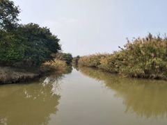 -大湾区中央湿地公园