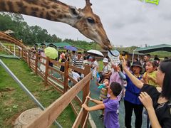 -云漫湖生态度假公园