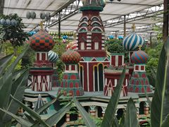 -南宫五洲植物乐园