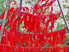 -帽儿山国家森林公园