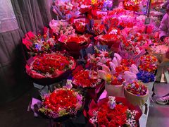 -花鸟鱼虫鲜花绿植市场(玉泉路店)