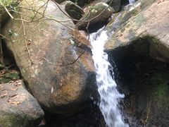 -田心森林公园
