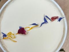 -大青树咖啡(大理古城店)