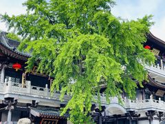 -句容茅山景区