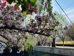 -海棠花溪(元大都城垣遗址公园)
