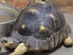 -沈阳森林动物园