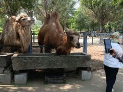 -长白岛森林公园