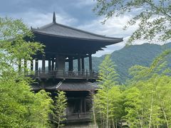 -大唐贡茶院