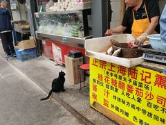 -正宗上海陆记熏鱼