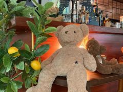 -咖法森林·咖啡  酒吧(天河店)