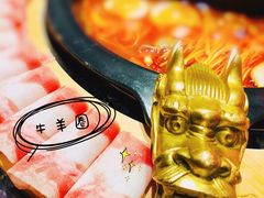 -蜀大侠火锅(森兰花园城店)