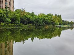 -成都南湖公园