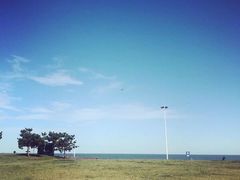 -阳光海岸露营公园