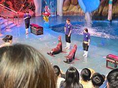 -烟台海昌鲸鲨海洋公园