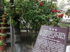 -宝通禅寺