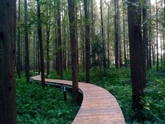 -上海怡沁园度假酒店