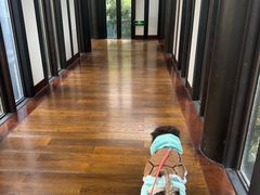 -上海崇明金茂凯悦酒店