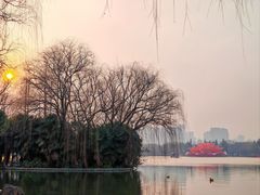 -洛阳市隋唐城遗址植物园