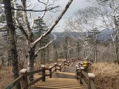 -凤凰山国家森林公园