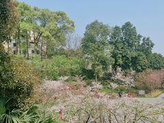 -南山植物园