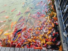 -泰安地下龙宫景区