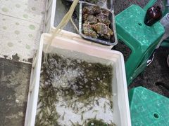 -桂萍特色牛筋牛杂(长堤街总店)