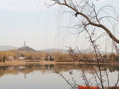 -北坞公园
