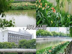 -月湖公园