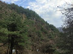 -王顺山国家森林公园