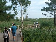 -北药泉