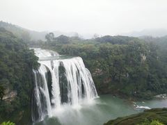 -张关合渣(航空大道店)