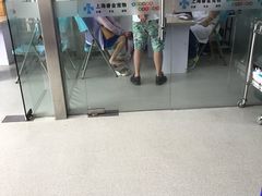 -睿金宠物医院·CT·肿瘤·骨外科