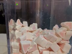 -狐狸和向日葵(北京路店)
