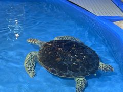 -欢乐海岸海洋奇梦馆
