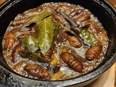 -老江南春·中国龙菜(衡山路店)