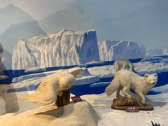 -陕西自然博物馆