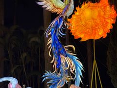 -厦门园林博览苑