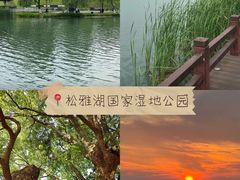 -洋湖国家湿地公园