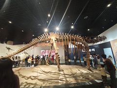 -衢州市博物馆