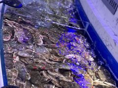 -澜悦港海鲜体验主题餐厅