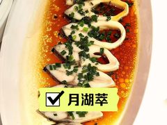 -月湖翠·上海菜(思南公馆淮海店)
