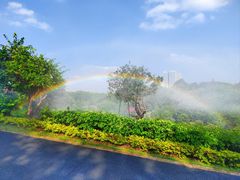 -东莞植物园