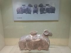 景点-宣化博物馆