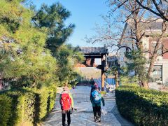 -阳台山自然风景区