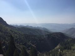 -原山国家森林公园